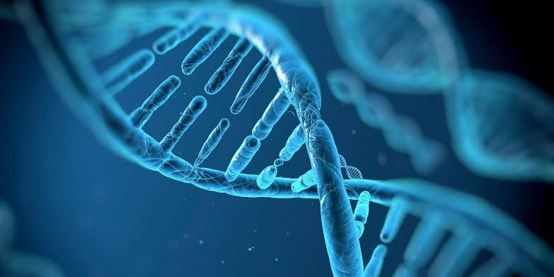 89 European Biotech Startups Are Reshaping Medicine