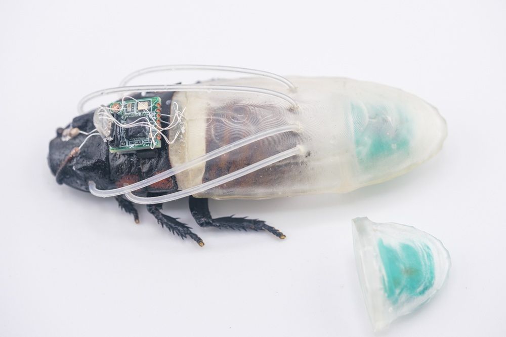 Cyborg Cockroaches Get Underwater Capabilities with 3D-Printed Suits
