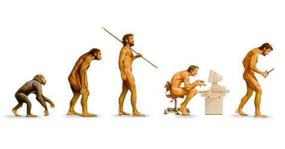 Software Engineer's Journey: From 'Hello World' to Complex Systems