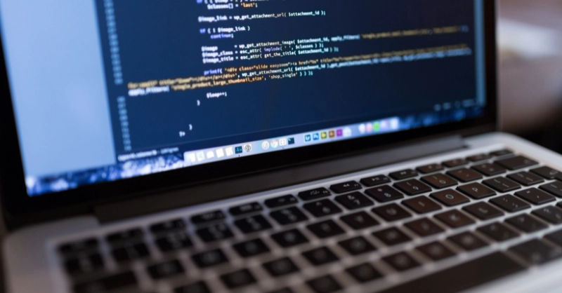 Laravel vs. WordPress for Business Sites: The Developer's Risk Profile