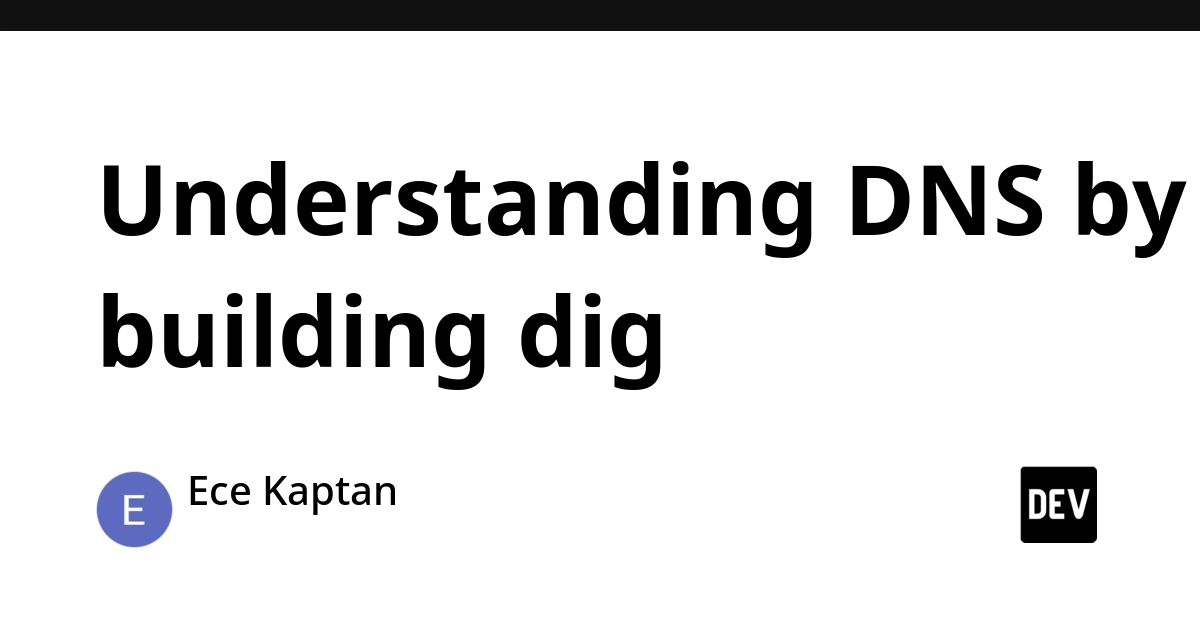 Build Your Own dig: Demystifying DNS Packet Structure