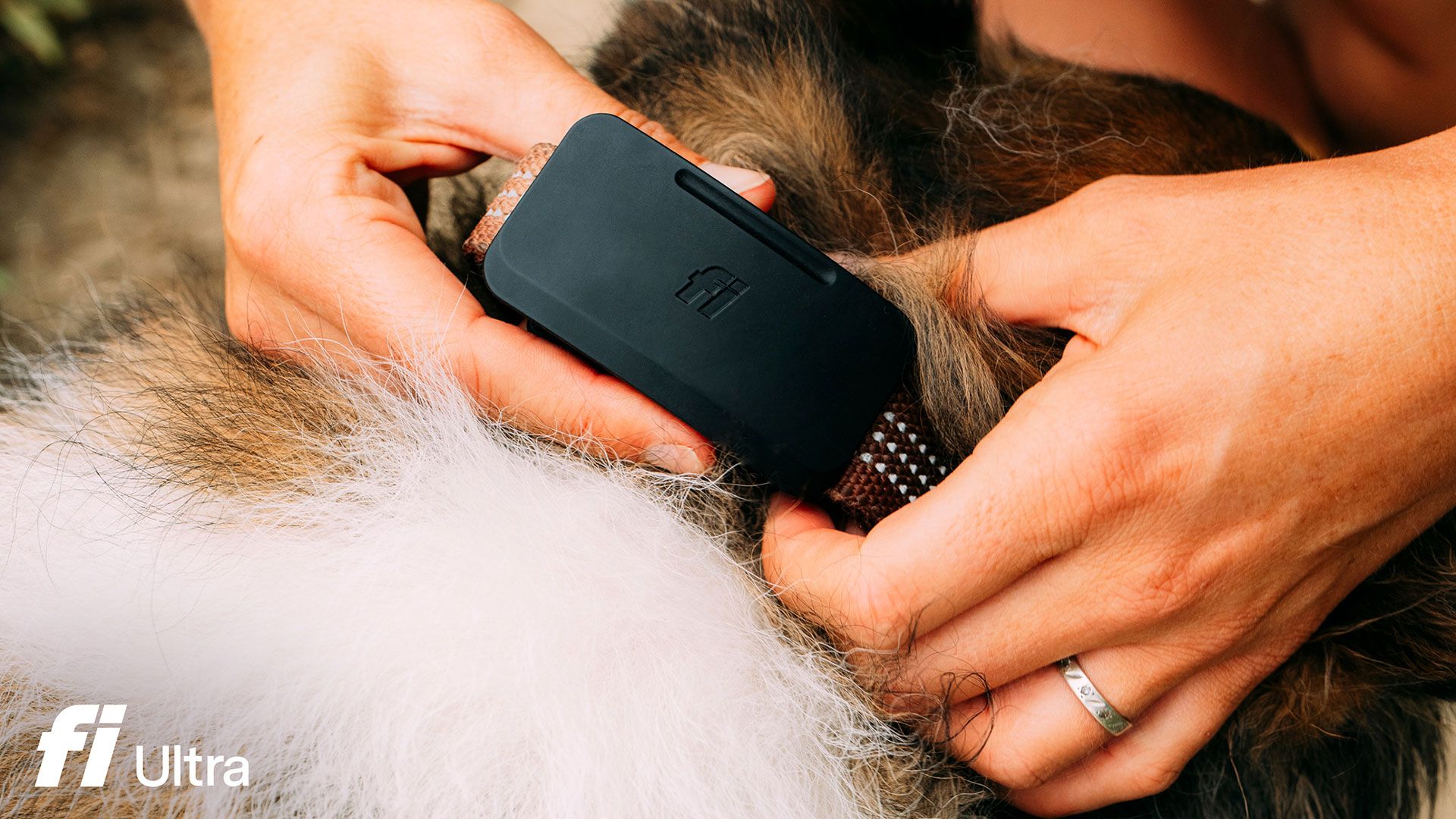 Fi Ultra Dog Tracker Integrates Starlink for Uninterrupted Satellite Location