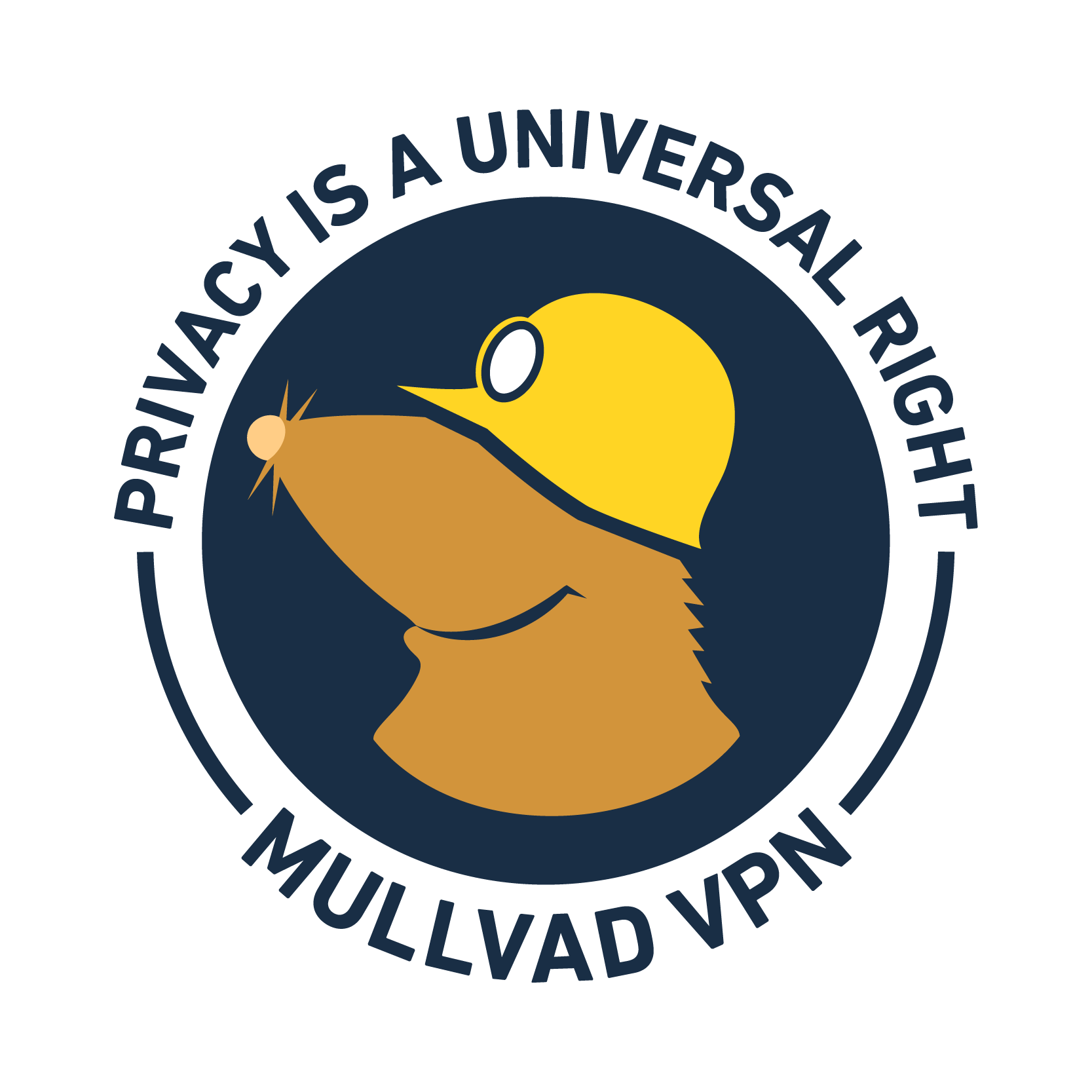 Mullvad Shuts Down Public Encrypted DNS, Backs Quad9