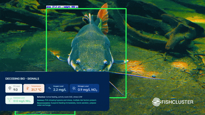 Fishcluster Secures $1M for AI Robots in Nigerian Fish Ponds
