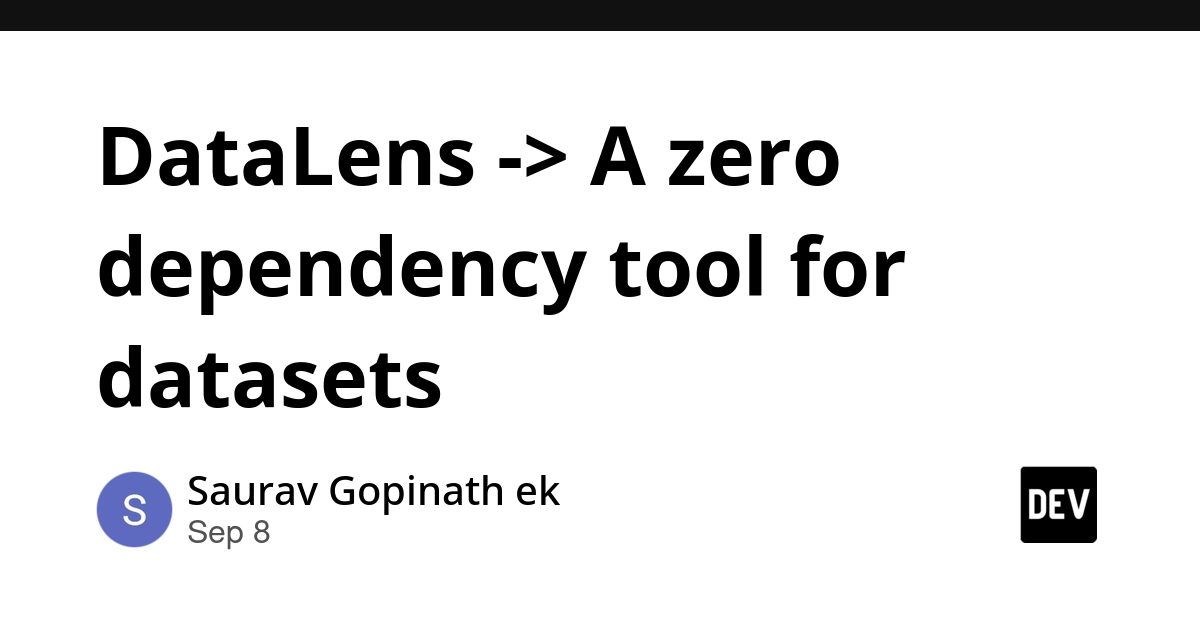 DataLens: Building ML Tools Without pip Install