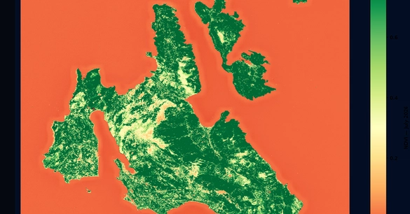 Developer Processes Sentinel-2 Satellite Data in 48 Hours