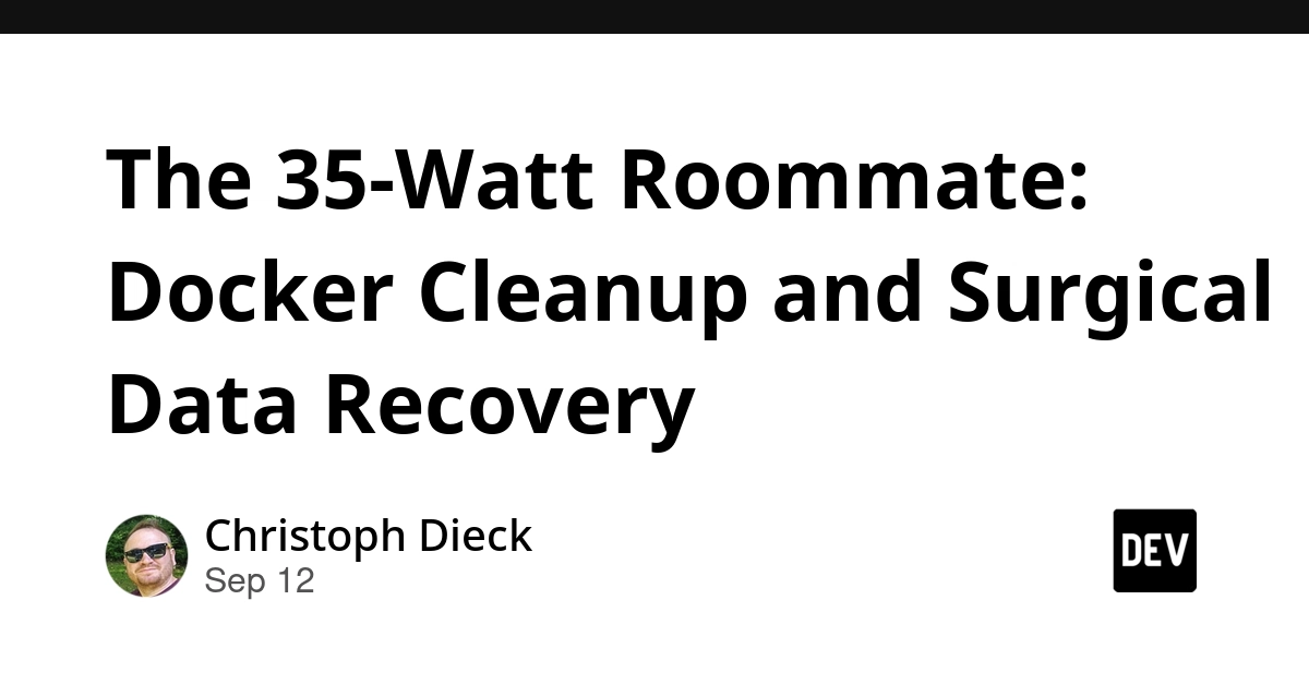 Docker Cleanup Accident Wipes Gitea Data; Recovery Details Shared