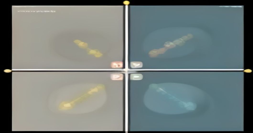 Diagram showing the four stages of the LoopRails framework: Grade, Guard, Show, Prove